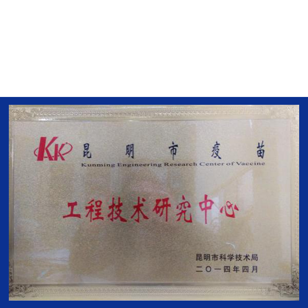 首页-玛雅吧-「品质引领生长,专注成绩未来」
