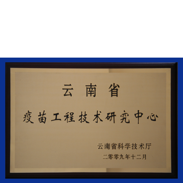 首页-玛雅吧-「品质引领生长,专注成绩未来」